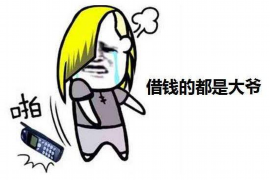 林芝林芝讨债公司服务