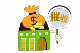 林芝遇到恶意拖欠？专业追讨公司帮您解决烦恼