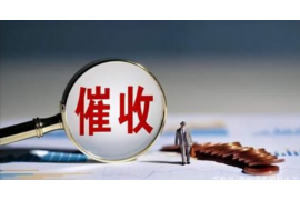 林芝为什么选择专业追讨公司来处理您的债务纠纷？